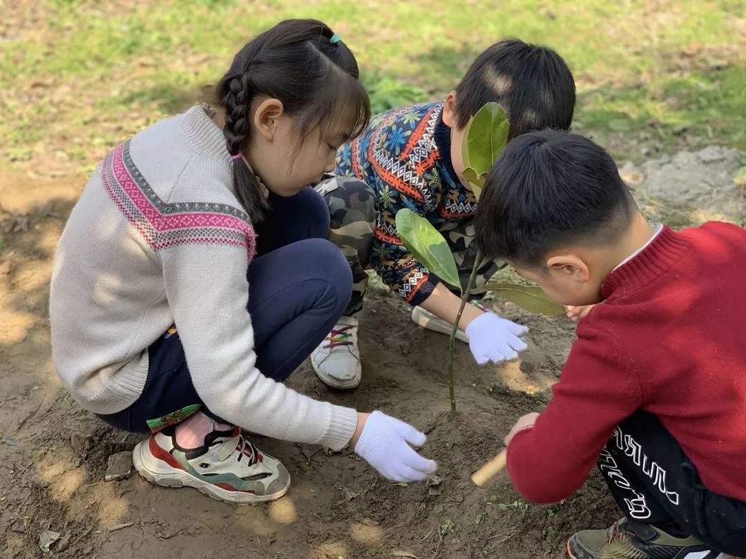 海量美图100张,海量高清美图