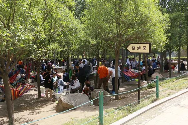 郑州周边适合野炊的地方,郑州野炊烧烤最好去处