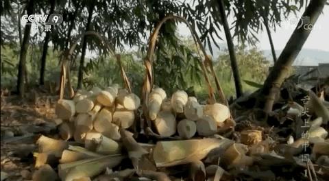 螺蛳粉能征服老挝人,螺蛳粉超爽版