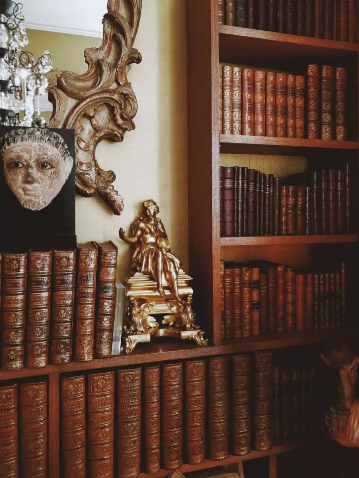 寻找香奈儿,用鼻子闻气味找对象