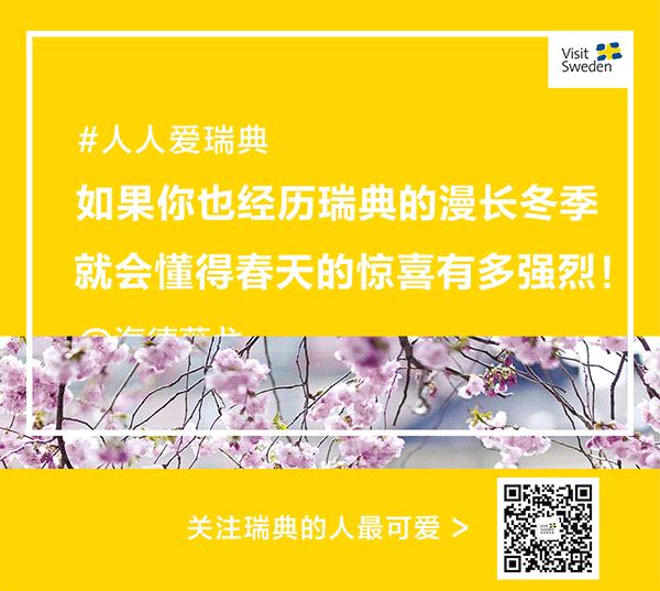 瑞典购物必买攻略,瑞典的购物攻略