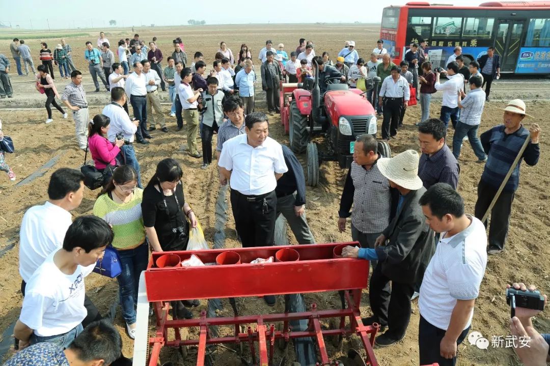 武安谷子,武安种什么农作物好