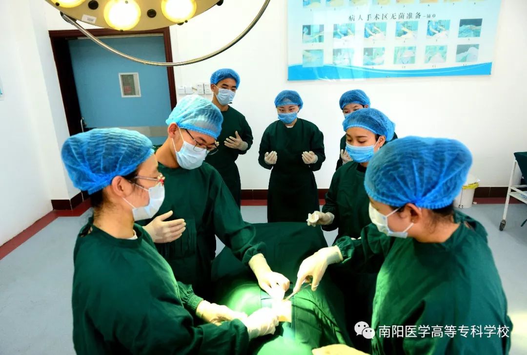 南阳医专高职专科学校招生简章,南阳师范学院喜报