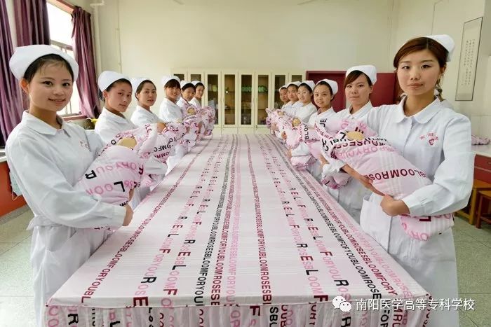 南阳医专高职专科学校招生简章,南阳师范学院喜报