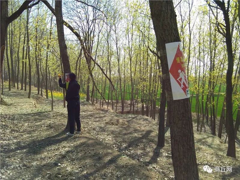 认准了！“懂菜农业”杯第七届黄河故道湿地花海徒步穿越路标已布置完成
