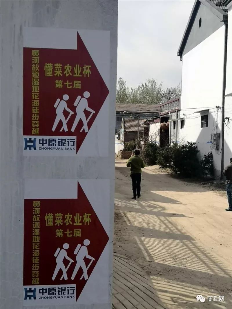 认准了！“懂菜农业”杯第七届黄河故道湿地花海徒步穿越路标已布置完成