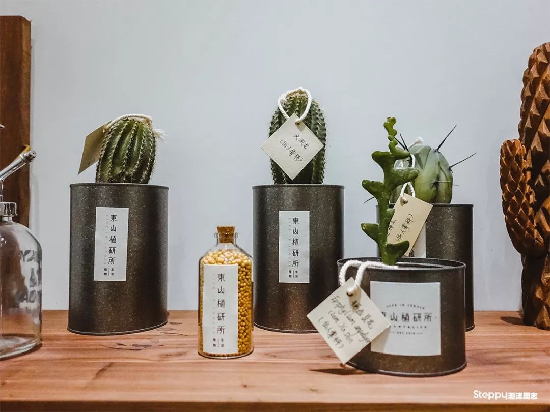 广州必吃早茶店,广州值得吃的早茶店