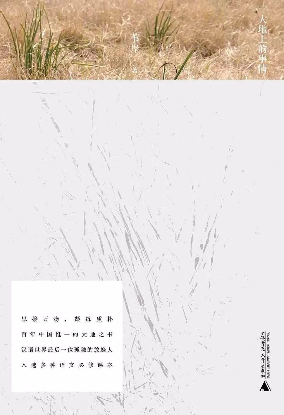 新散文思维,当代散文无内涵