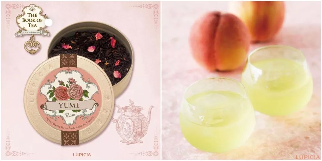 闻一次就念念不忘的香水,闻一次就能记住的经典香水