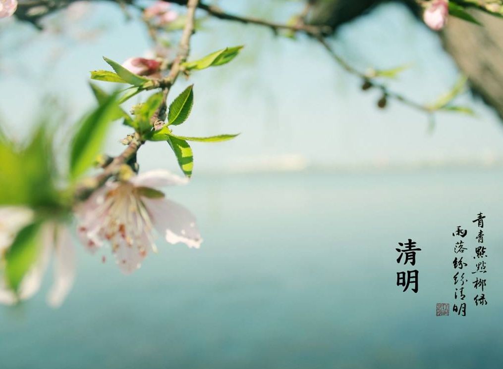 清明节的由来和习俗中班教案,清明节的由来和习俗简单图画