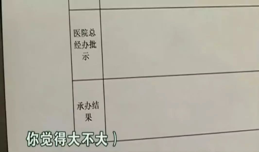 缁村鍒╀簹榧诲瓙鏁村舰浜茶韩缁忓巻,缁村鍒╀簹鏁村舰鐪肩毊鏉惧紱