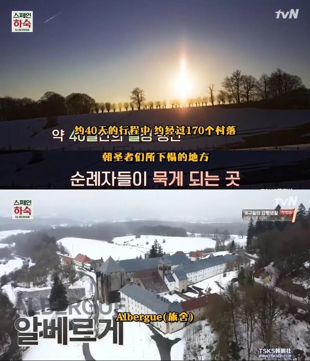 罗英石综艺节目表,罗英石新综艺