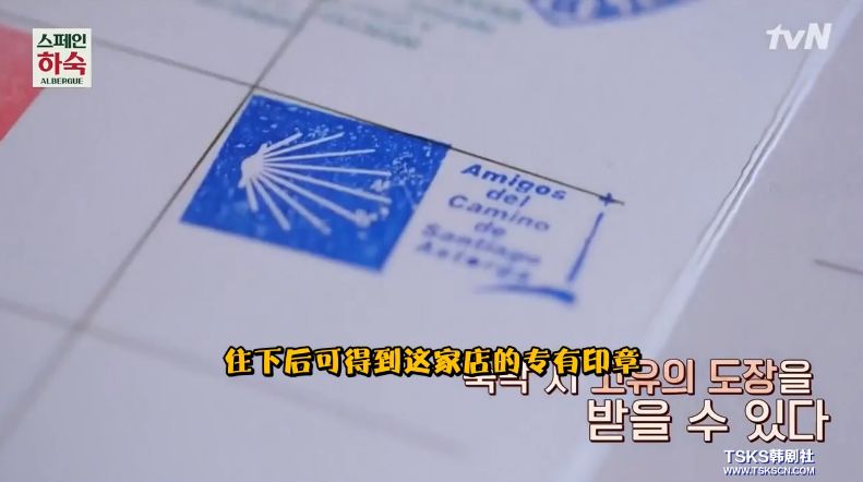 罗英石综艺节目表,罗英石新综艺