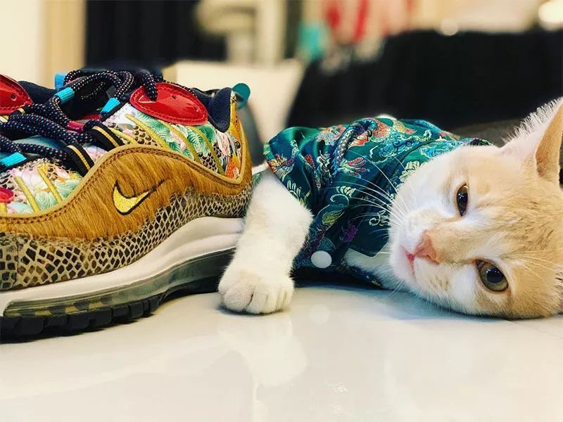 yeezy篮球鞋还会继续跌吗,性价比较高的千元yeezy鞋