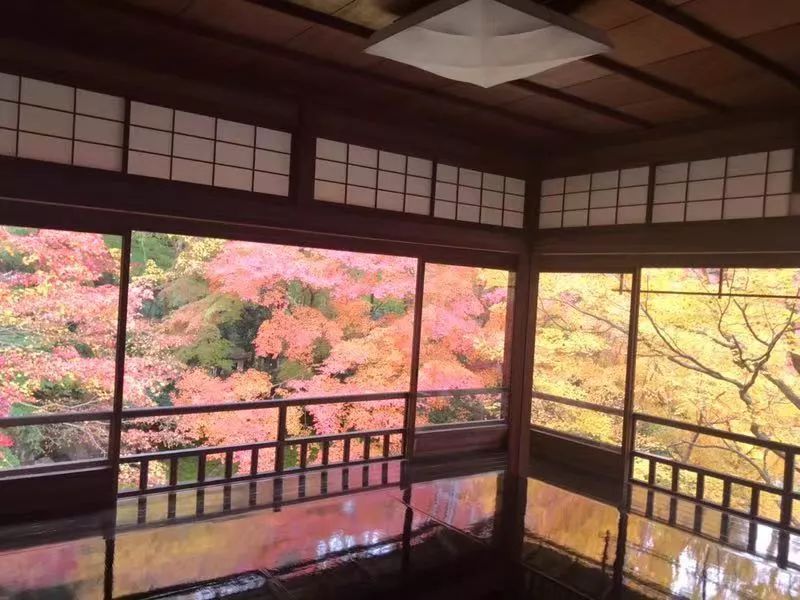 日本药妆店为什么那么便宜,日本药妆店真的很坑吗