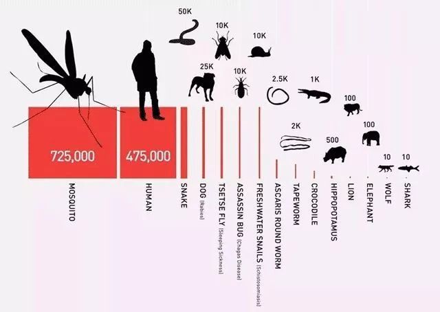 驱蚊神器灭蚊灯静音无辐射,灭蚊灯是根据什么原理灭蚊的