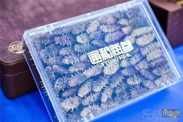 东营上半年经济运行成绩单公布,东营市经济指标完成情况