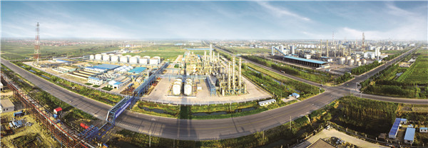 东营上半年经济运行成绩单公布,东营市经济指标完成情况