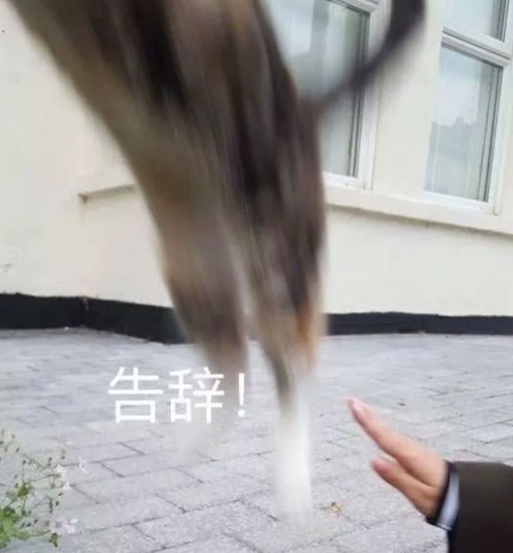 螺蛳粉韩国申遗成功了吗,韩国申遗螺蛳粉成功了吗