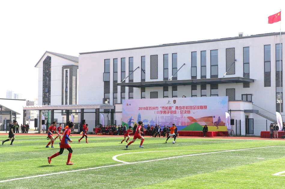 看着校园里熟悉的一切感慨万千,看到校园美好的景象