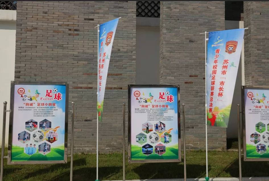 看着校园里熟悉的一切感慨万千,看到校园美好的景象