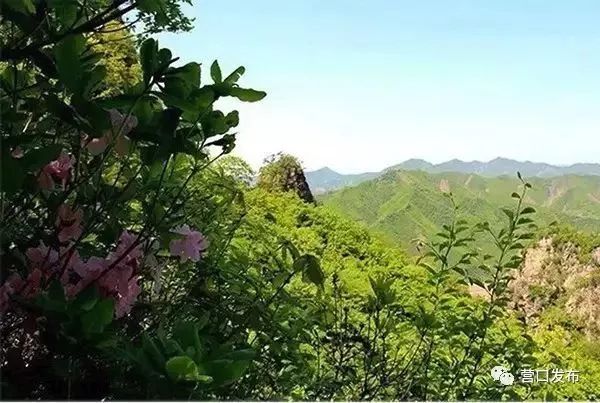 五一盖州游玩攻略带孩子,五一假期旅游安排表