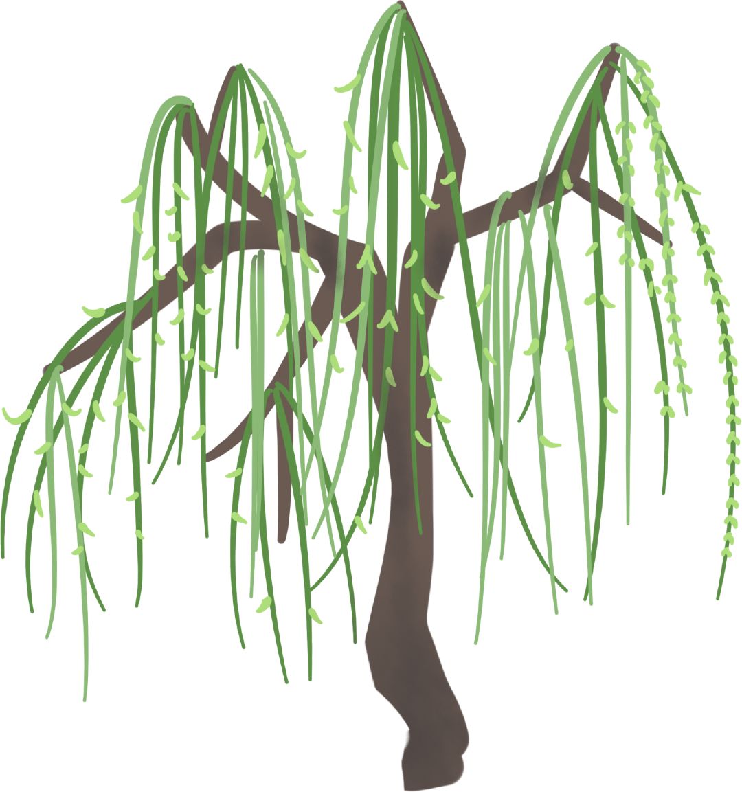 直播预告：对话*明徐**光|对应取穴，大道至简