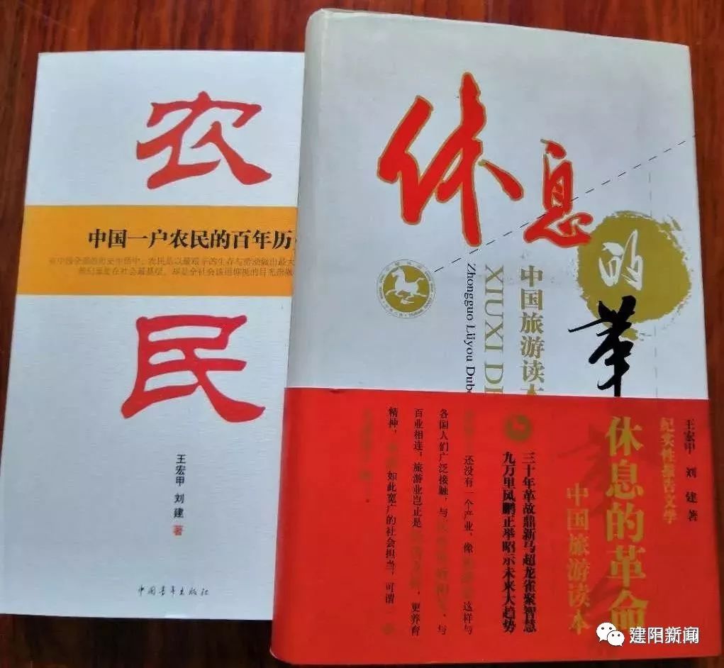 王宏甲,王宏甲历史记录