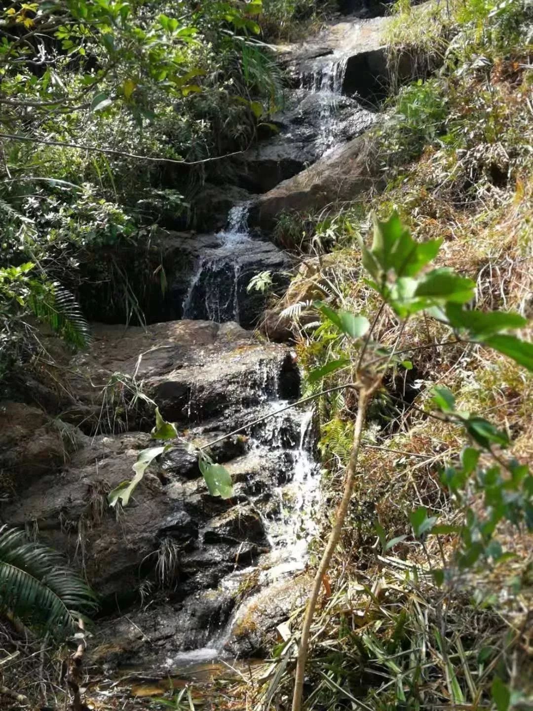 中山珠海赏花好地方,珠海斗门五一旅游攻略