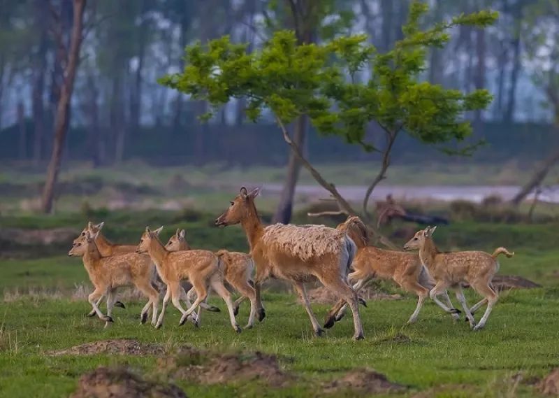 5天小长假旅游推荐,51小长假5天自驾游推荐