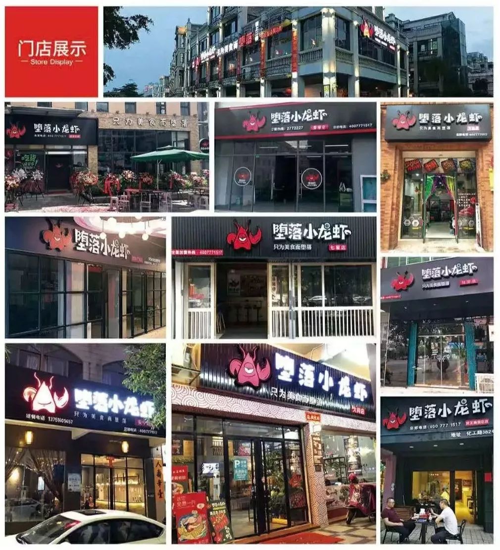 堕落虾公司现状,堕落虾融资