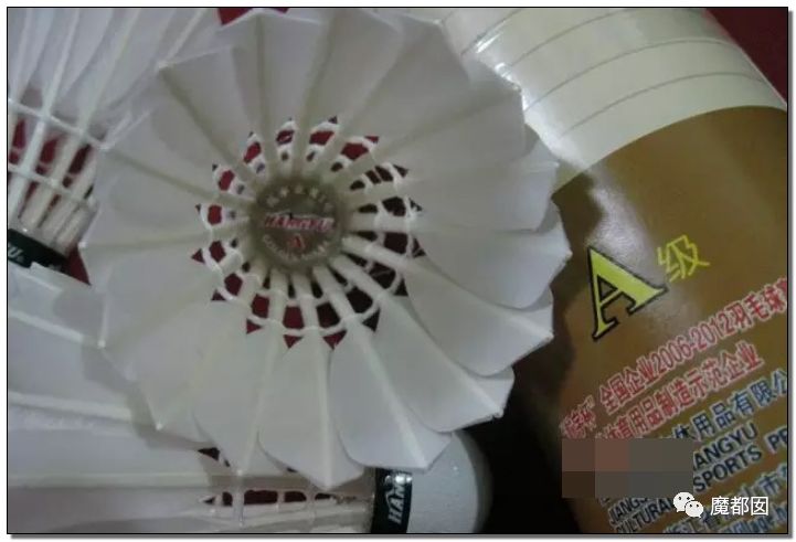 小提琴特色小镇,中国小提琴特色小镇