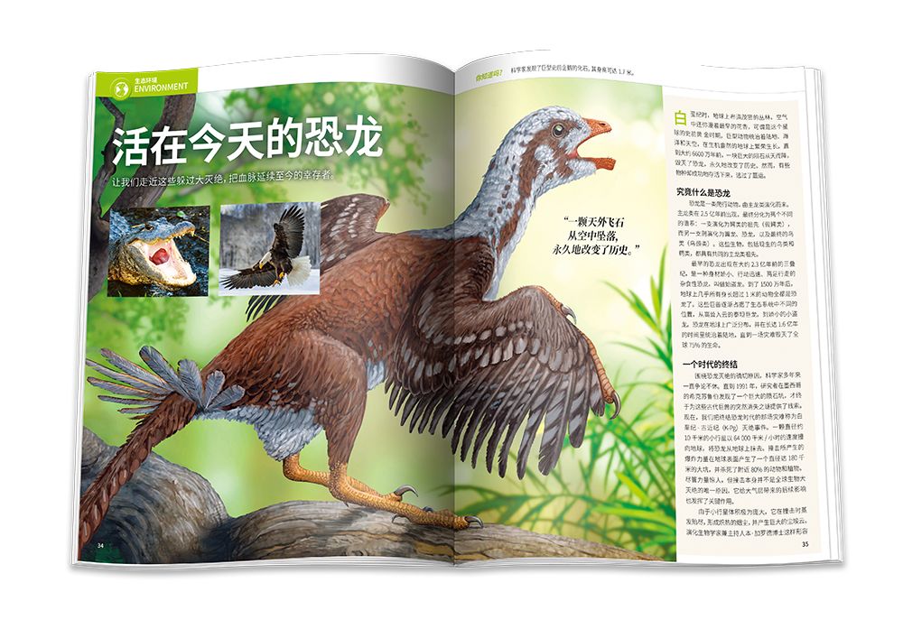 閽㈤搧宸ㄦ棤闇告柊娑堟伅,閽㈤搧宸ㄦ棤闇稿畬鏁寸増