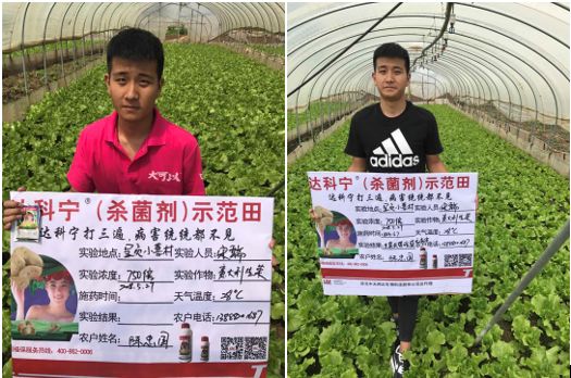 达科宁悬浮剂苗期能用吗,达科宁悬浮剂