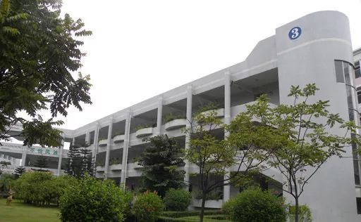 小升初佛山学校排名,小升初佛山公办学校排名