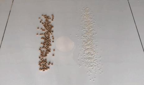 性价比超好用的吸尘器测评,平价吸尘器测评排行榜前十