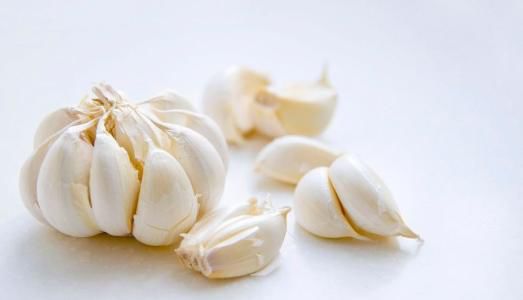 超级真菌爆发死亡率,超级细菌真菌致死率