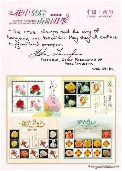 大美南阳月季盛开,南阳月季之乡标志图片