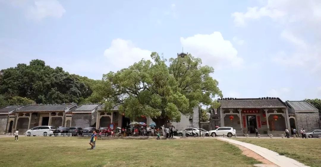 中山珠海赏花好地方,珠海斗门五一旅游攻略