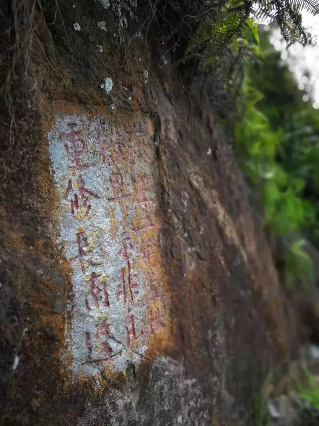 中山珠海赏花好地方,珠海斗门五一旅游攻略