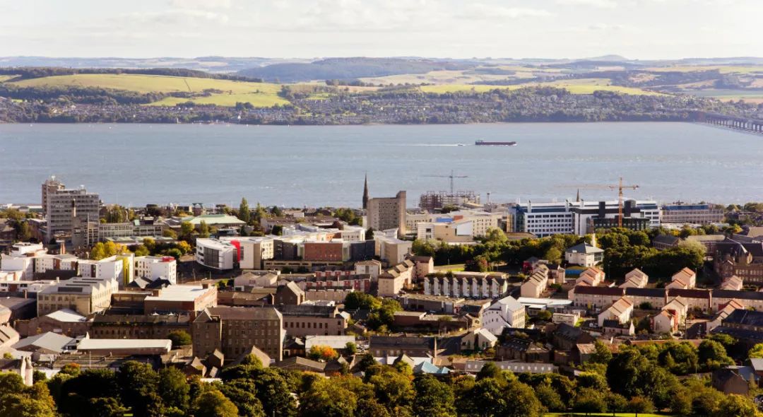 选课选到网课怎么上,选课选到大学语文