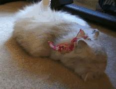 韩妆有多难用？我可以吐槽三天三夜！