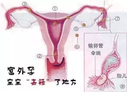 黄绿医生事件,曝光医生骗局