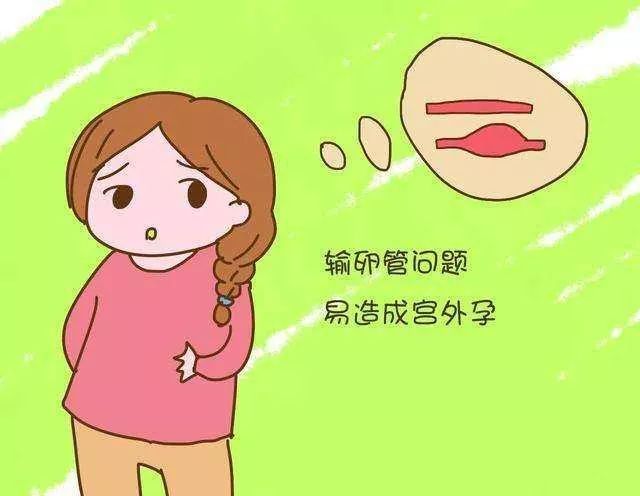 黄绿医生事件,曝光医生骗局