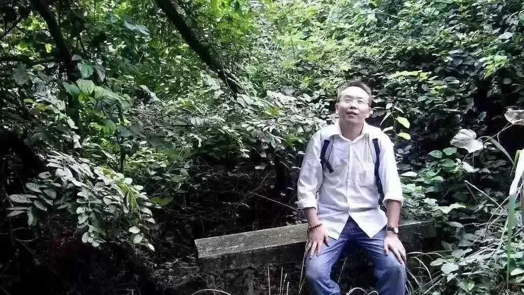 最近权健新闻,权健事件来龙去脉视频