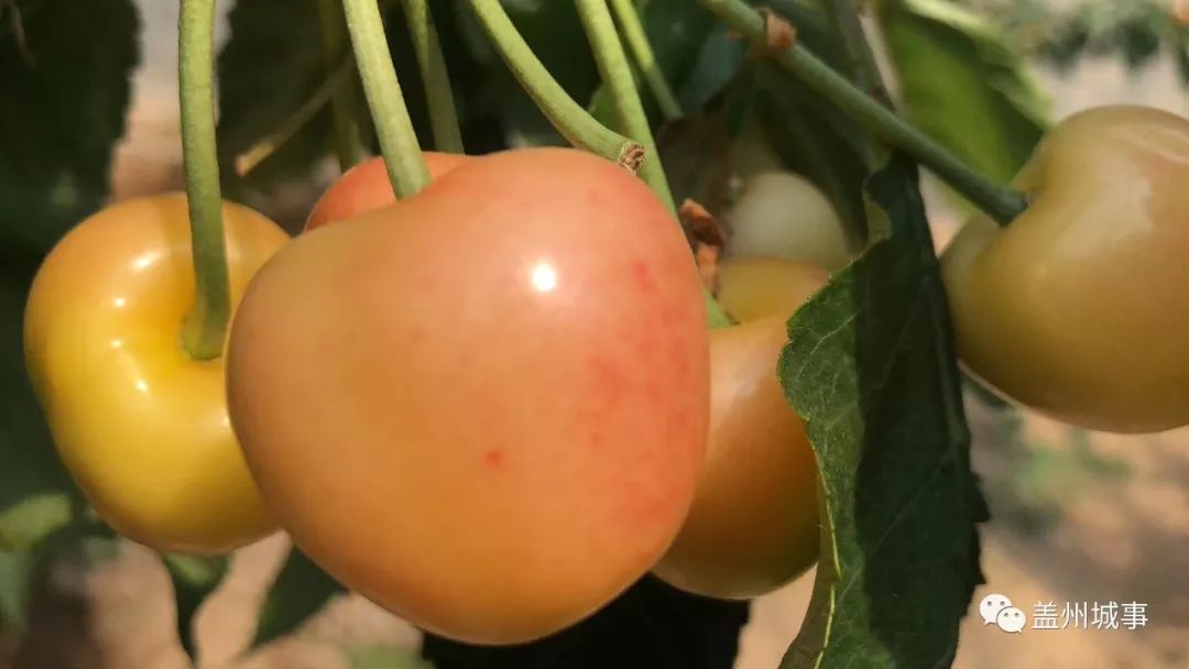 五一盖州游玩攻略带孩子,五一假期旅游安排表