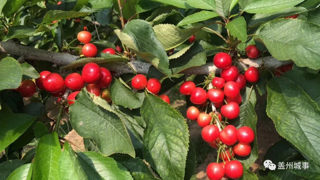 五一盖州游玩攻略带孩子,五一假期旅游安排表