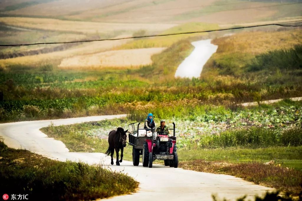 中国农民丰收节秋分节气同一天,二十四节气秋分也是农民丰收节