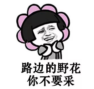 野外发现的桑葚可以直接吃吗,树上摘的桑葚能不能吃