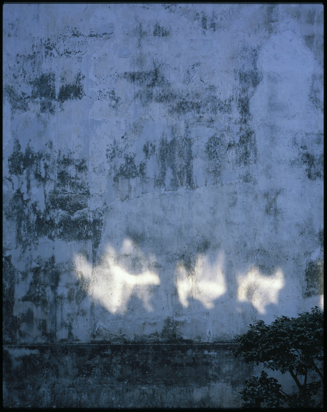 房子在她的镜头里变得生动，来看建筑摄影师埃莱娜30年作品展